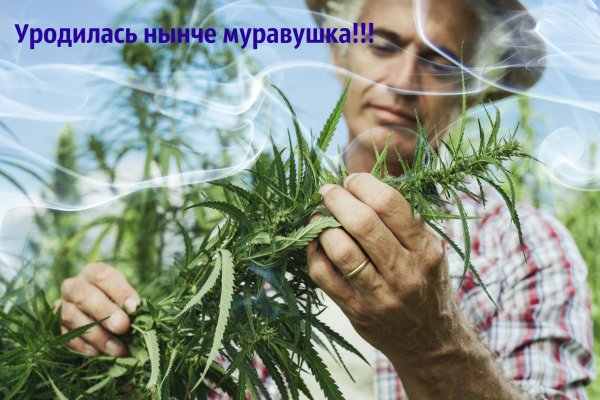Кракен открылся