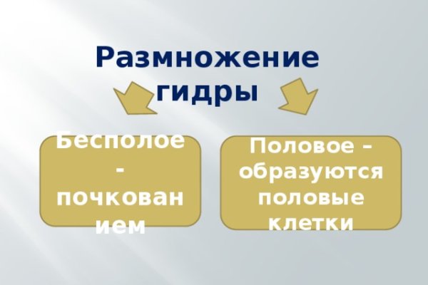 Kra24gl